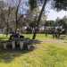 ...costeggiando i tavoli in legno dove i visitatori possono sedersi per leggere, chiacchierare o fare un pic-nic